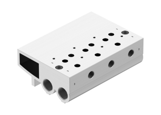 Manifold Rails